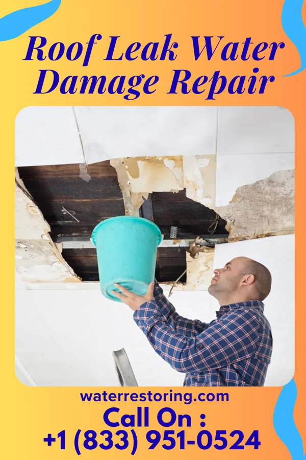 Roof Leak Water Damage Repair in Blue Hills, CT